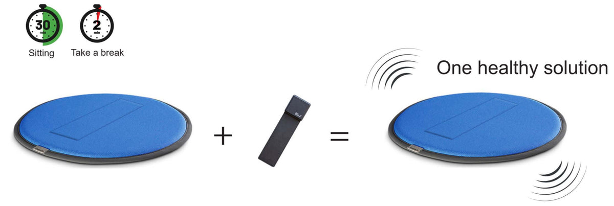 Infographic showing the Seat Guard cushion and control unit combined as one solution