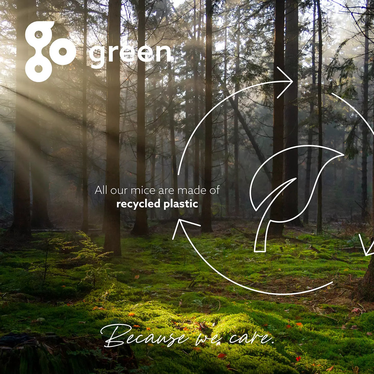 Sunlit forest image used to present the recycled plastic in the HE Mouse